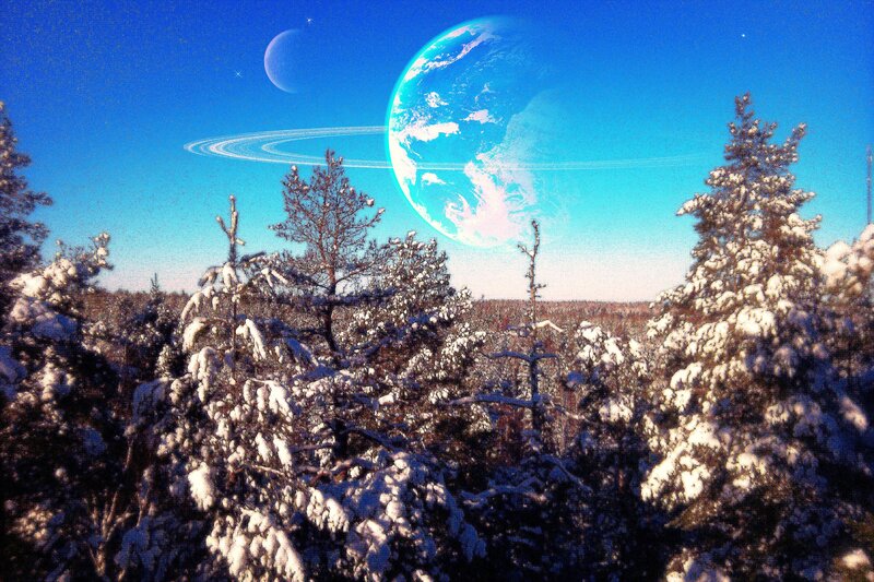 Snow-covered Trees — Blue, Fantastical