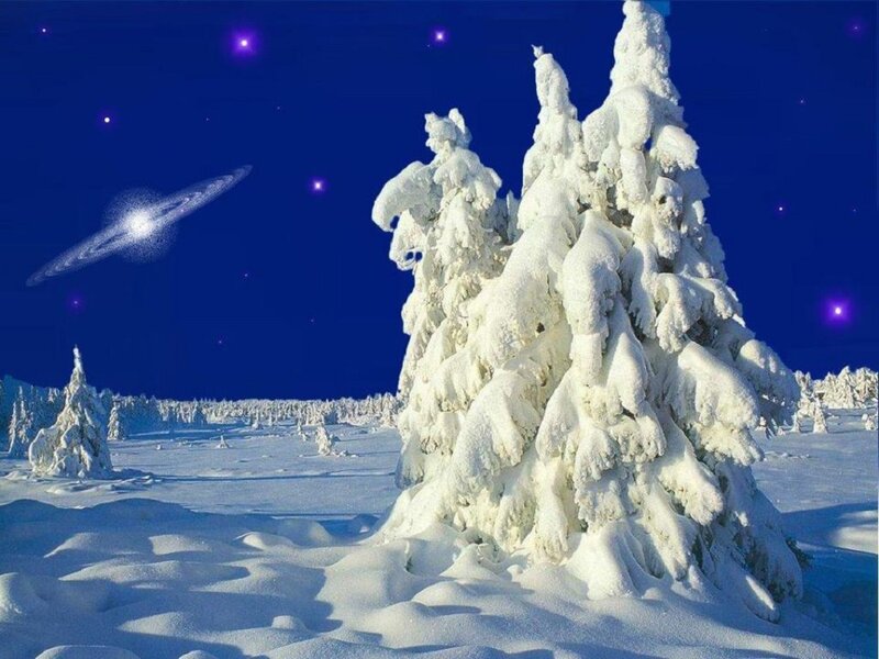 Snow-covered Trees — Blue, Serene, Night, Digital Art, Stars