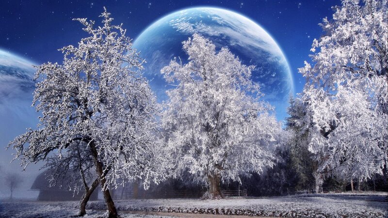 Snow-covered Trees — Blue, Serene, Night, Digital Art