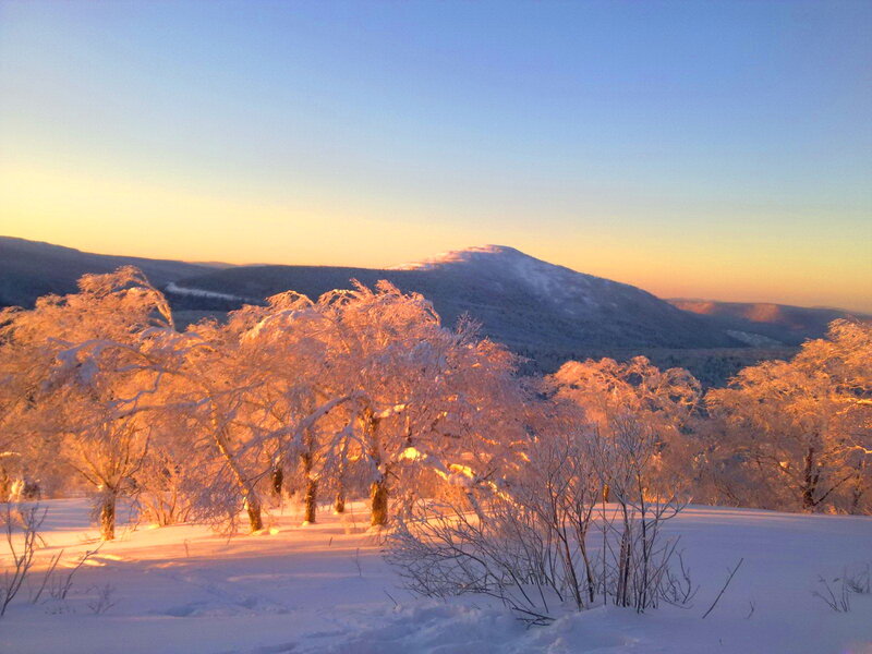 Snow-covered Trees — Blue, Serene, Sunset, Photograph, Mountains, Snow