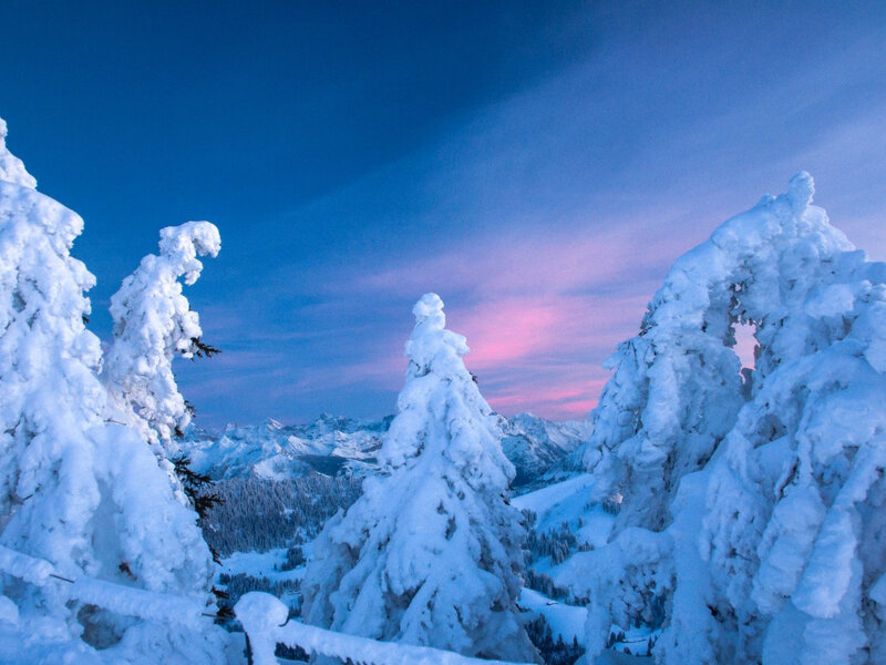 Snow-covered Trees — Blue, Serene, Sunset, Photograph, Mountains