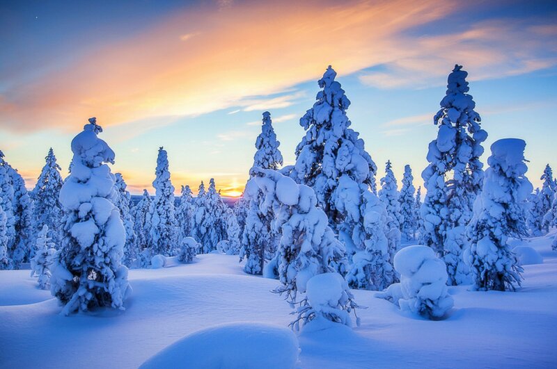 Snow-covered Trees — Blue, Serene, Sunset, Photograph, Snow, Sky