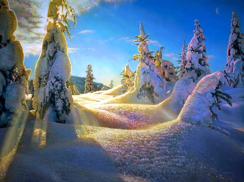 Snow-covered Trees — Blue, Serene, Winter, Digital Art, Snow, Sky, Moon