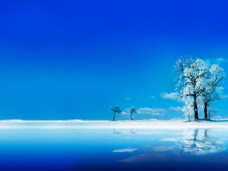 Snow-covered Trees — Blue, Serene, Winter, Digital Art, Snow, Sky