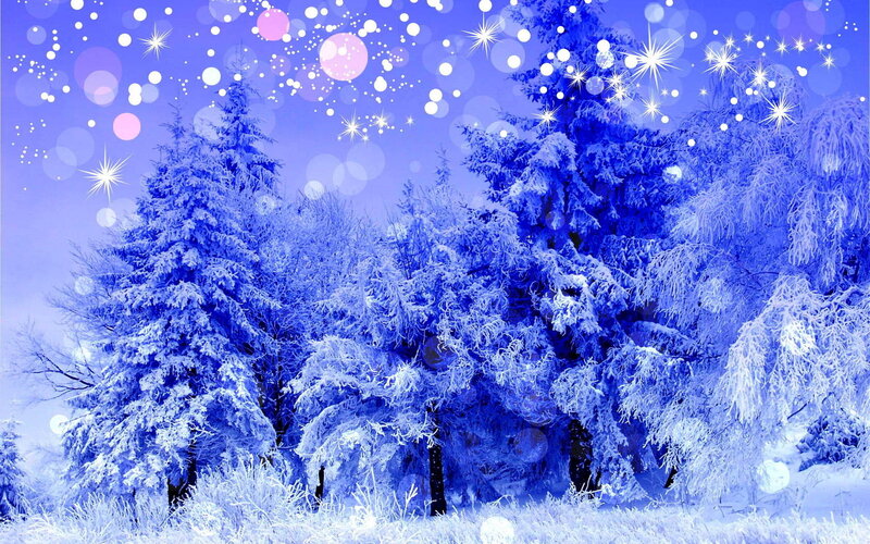 Snow-covered Trees — Blue, Serene, Winter, Digital Art, Snow