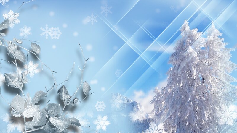 Snow-covered Trees — Blue, Serene, Winter, Digital Art, Snowflakes