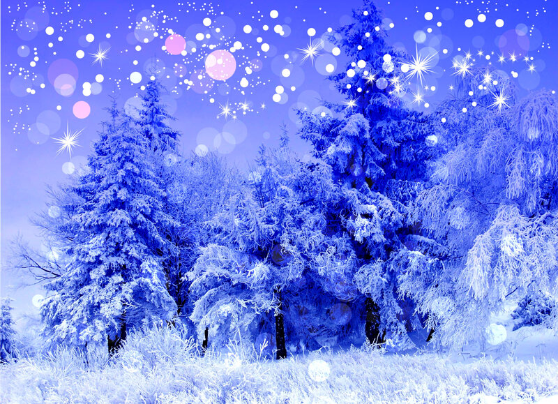 Snow-covered Trees — Blue, Serene, Winter, Digital Art, Stars