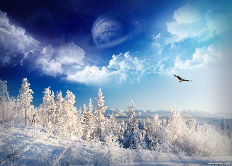 Snow-covered Trees — Blue, Serene, Winter, Digital Art