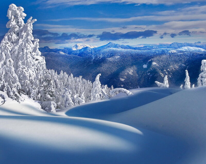 Snow-covered Trees — Blue, Serene, Winter, Photograph, Mountains, Forest