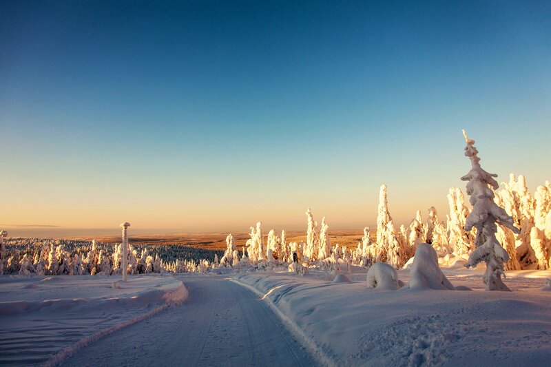 Snow-covered Trees — Blue, Serene, Winter, Photograph, Road, Sky