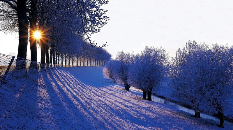 Snow-covered Trees — Blue, Serene, Winter, Photograph, Sun, Frost, River
