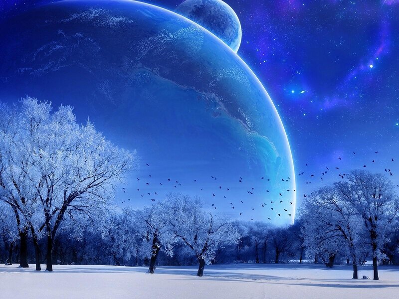 Snow-covered Trees — Blue