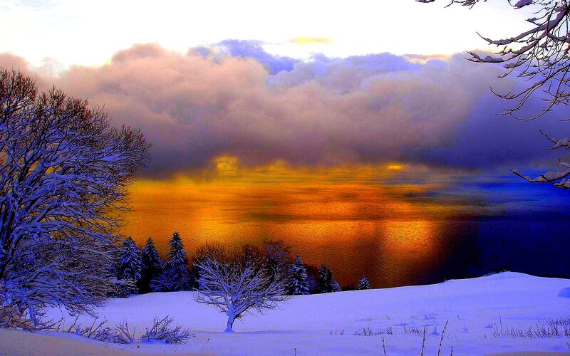 Snow-covered Trees by Lake — Blue, Dramatic