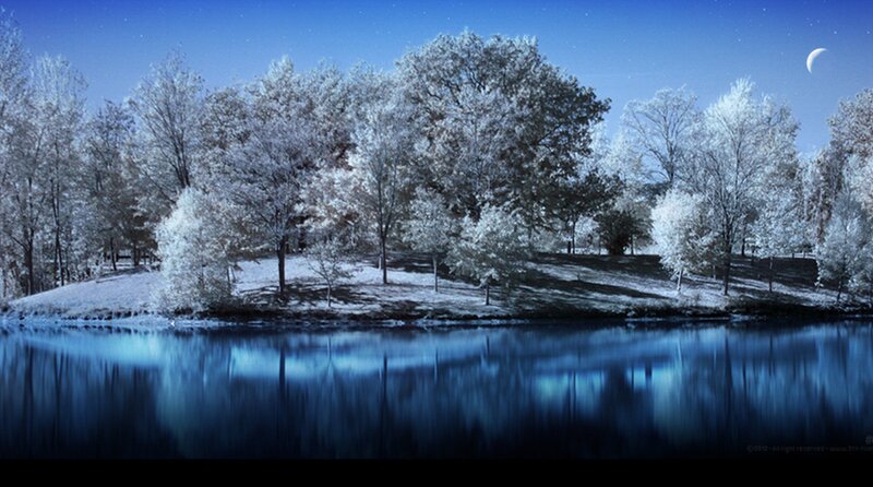 Snow-covered Trees by Lake — Blue, Serene, Night