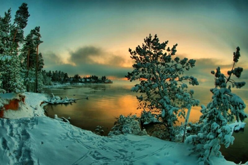 Snow-covered Trees by Lake — Blue, Serene, Sunset, Photograph