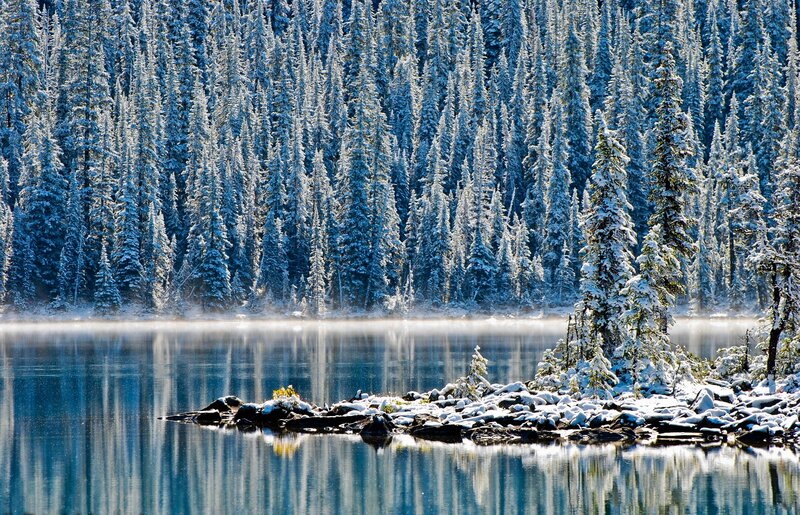 Snow-covered Trees by Lake — Blue, Serene, Winter, Photograph, Fog, Rocks