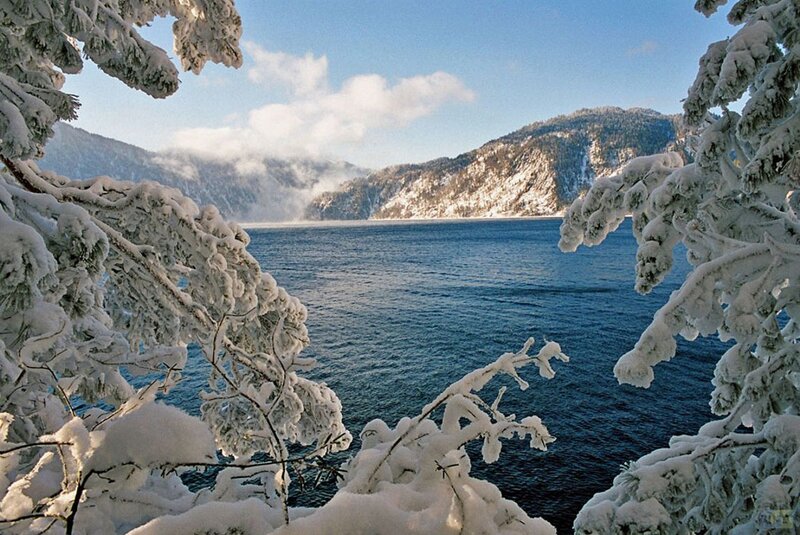 Snow-covered Trees by Lake — Blue, Serene, Winter, Photograph, Mountains