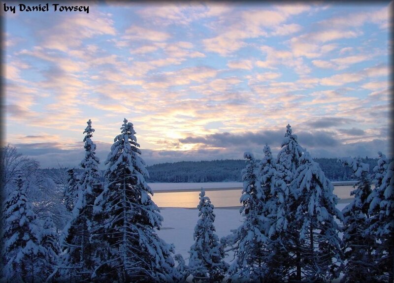 Snow-covered Trees by Lake — Blue, Serene, Winter, Photograph, Sky, Snow
