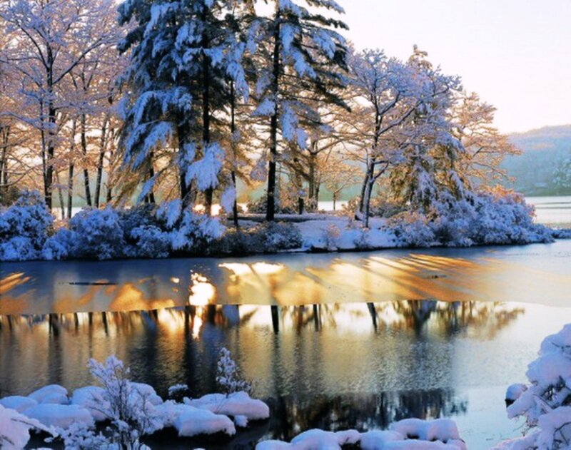 Snow-covered Trees by Lake — Blue, Serene, Winter, Photograph, Snow