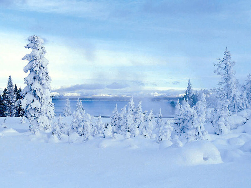 Snow-covered Trees by Lake — Blue, Serene, Winter