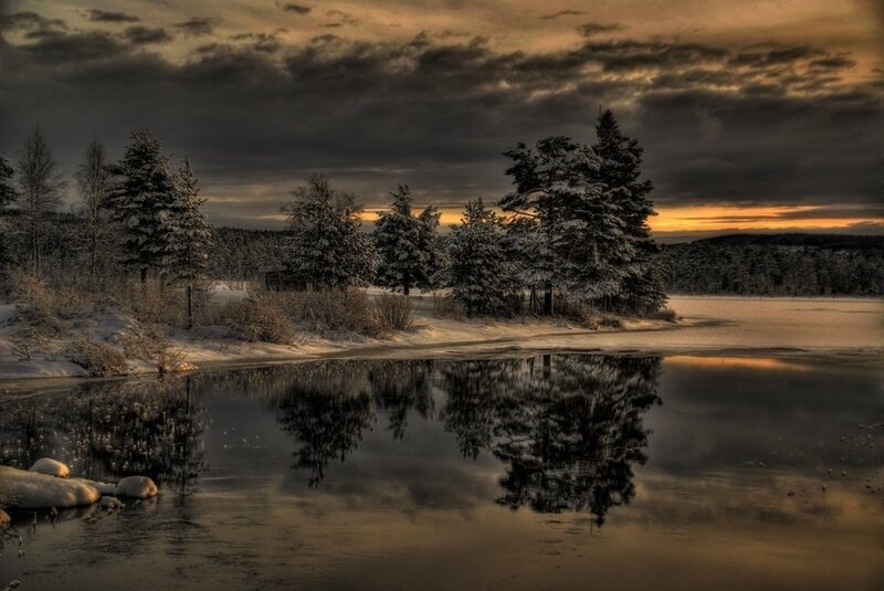 Snow-covered Trees by Lake — Brown