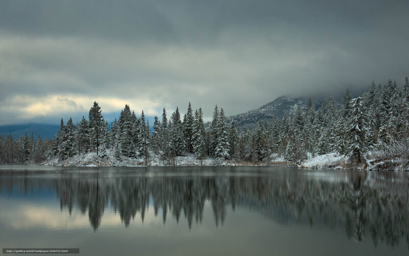 Snow-covered Trees by Lake — Gray, Serene