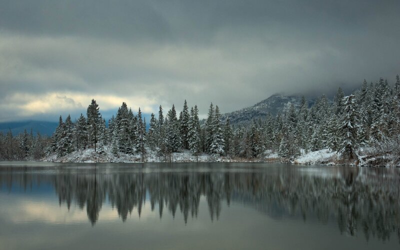 Snow-covered Trees by Lake — Gray, Serene, Winter