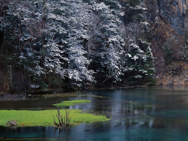 Snow-covered Trees by Lake — Green, Serene, Winter, Photograph, Mountain