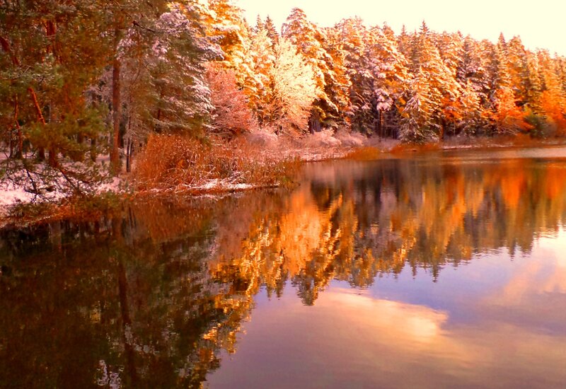 Snow-covered Trees by Lake — Orange