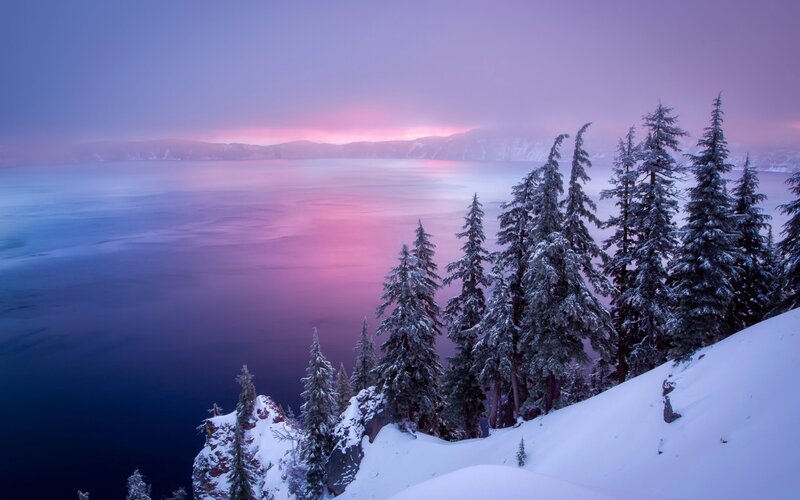Snow-covered Trees by Lake — Purple, Serene, Sunset