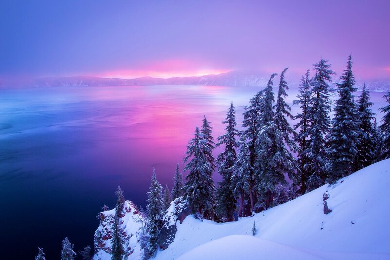 Snow-covered Trees by Lake — Purple, Serene