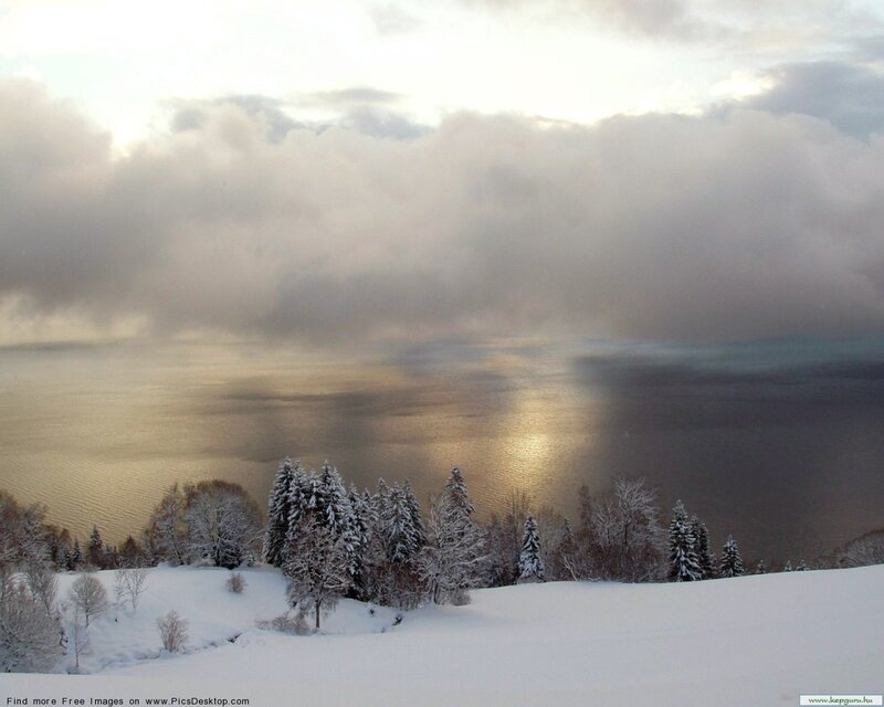Snow-covered Trees by Lake