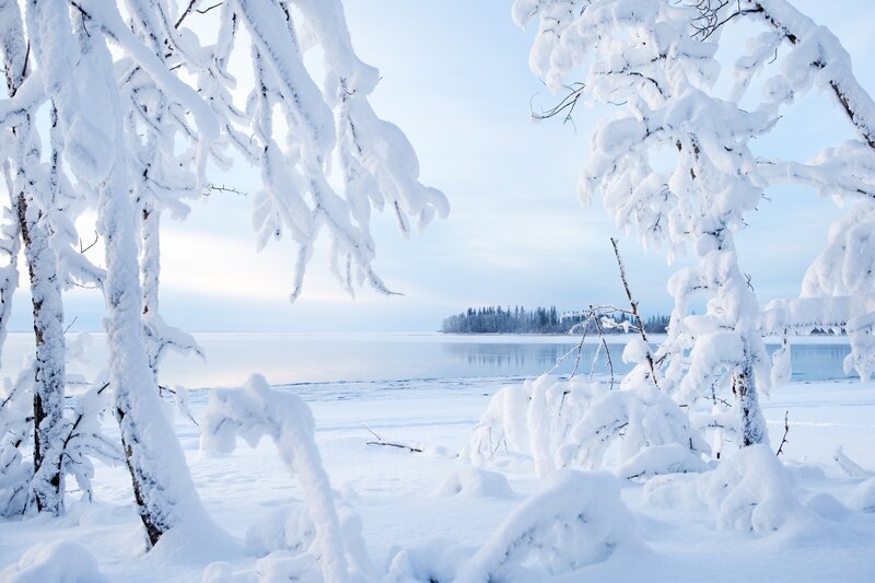 Snow-covered Trees by Lake — White, Serene, Winter, Photograph, Sky, Island