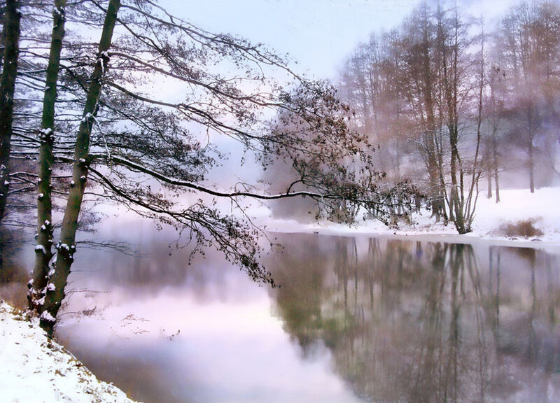 Snow-covered Trees by Lake — White, Serene, Winter, Photograph, Snow