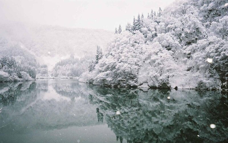 Snow-covered Trees by Lake — White, Serene, Winter