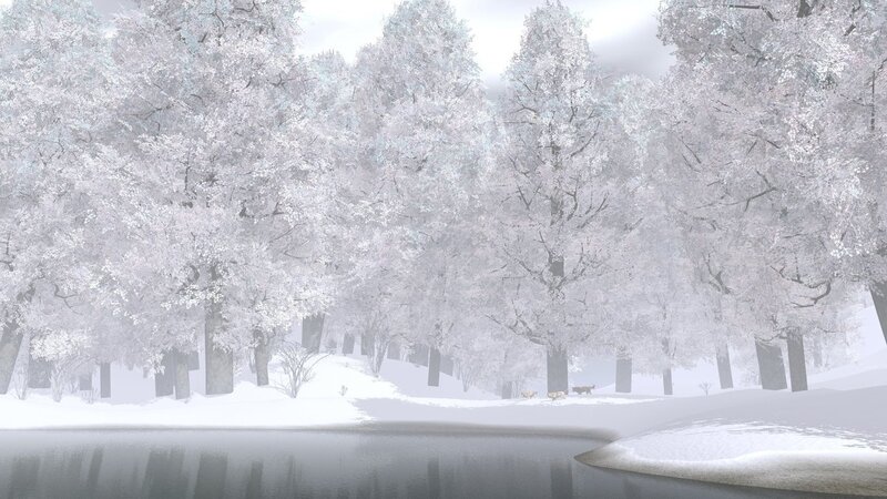 Snow-covered Trees by Lake — White