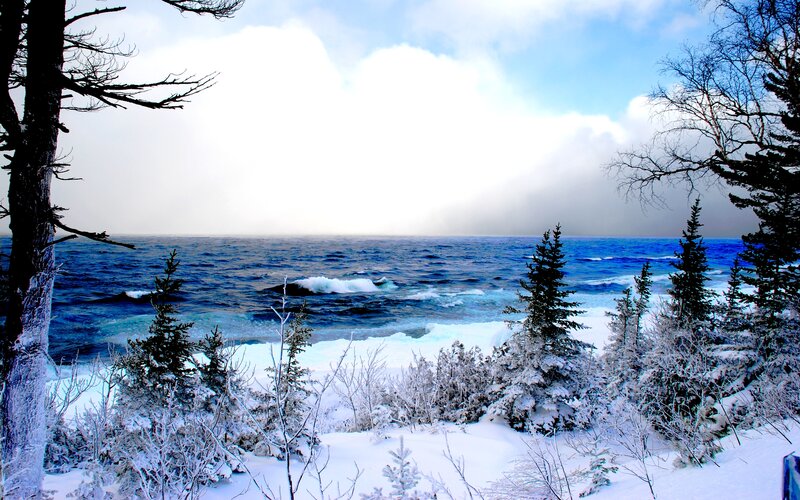 Snow-covered Trees by Ocean