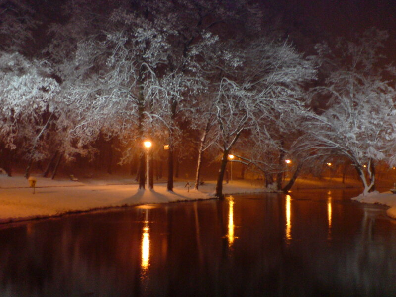 Snow-covered Trees by River — Black