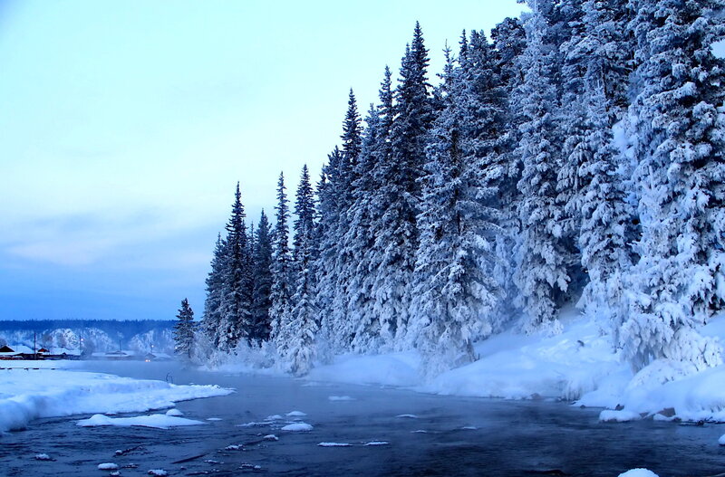 Snow-covered Trees by River — Blue, Cold