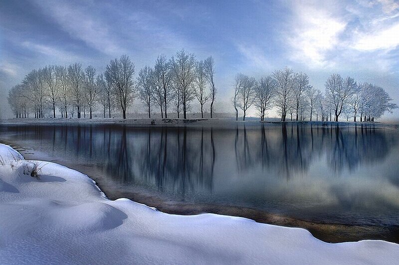 Snow-covered Trees by River — Blue, Serene