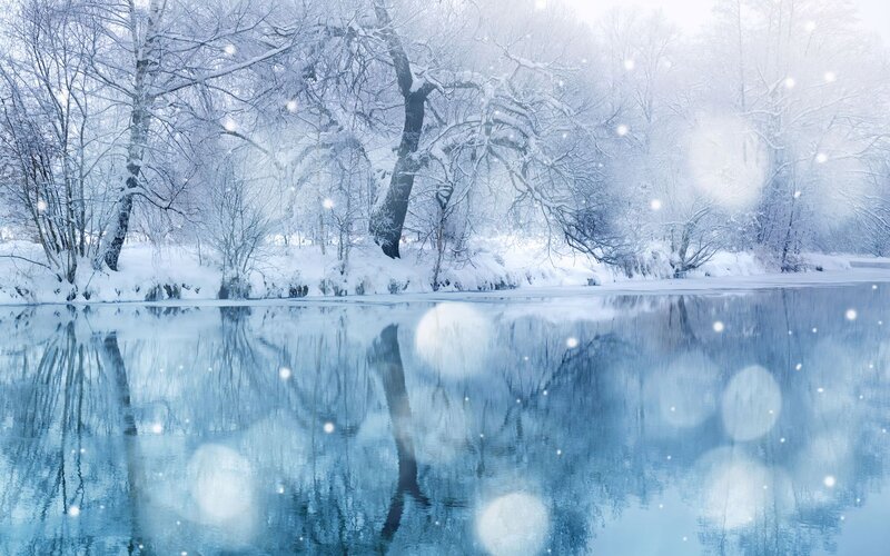 Snow-covered Trees by River — Blue, Serene, Winter, Photograph