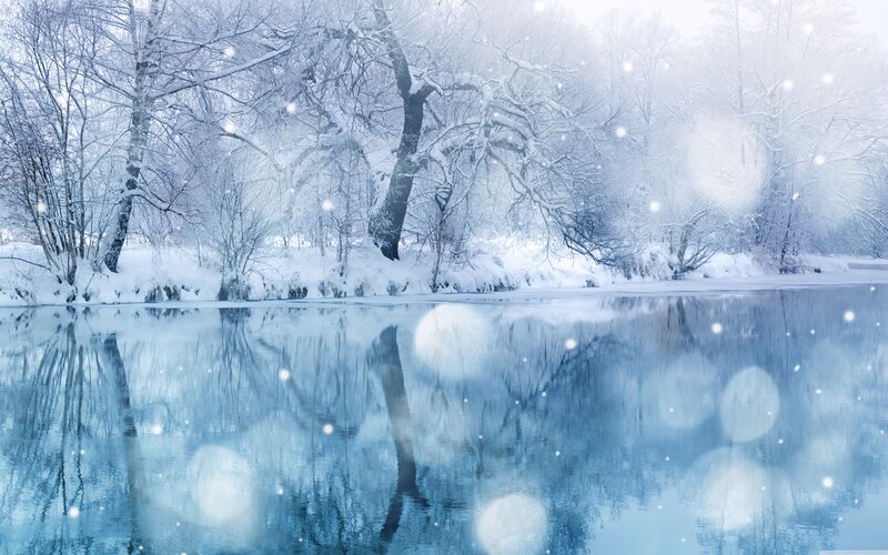 Snow-covered Trees by River — Reflection