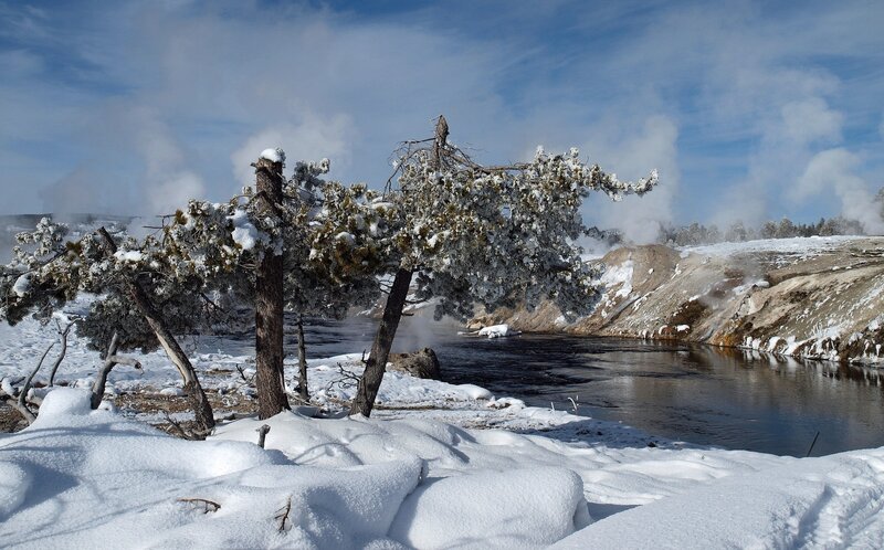 Snow-covered Trees by River — White, Cold, Winter