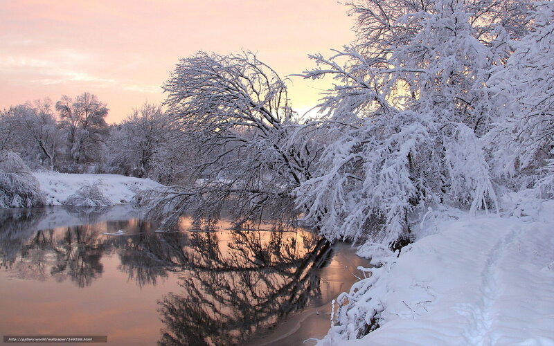 Snow-covered Trees by River — White, Serene, Sunset, Photograph, Sky