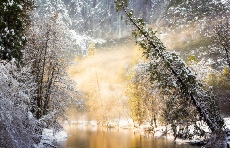 Snow-covered Trees by River — White, Serene, Winter, Photograph, Mountain