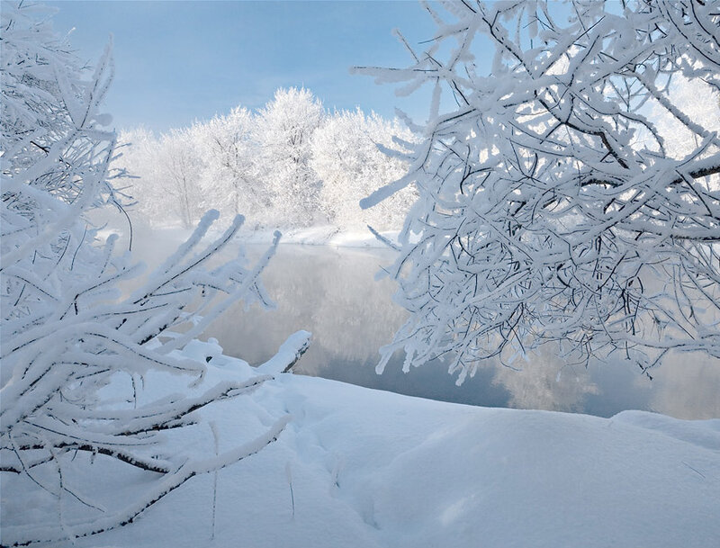 Snow-covered Trees by River — White, Serene, Winter, Photograph, Sky