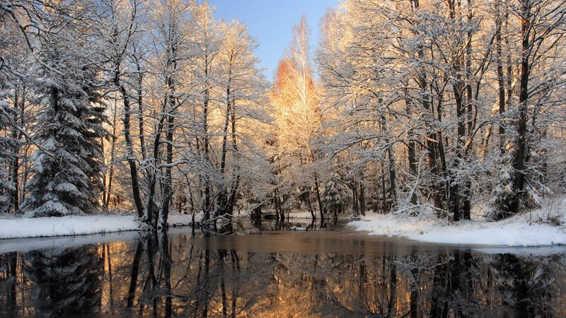 Snow-covered Trees by River — White, Serene, Winter, Photograph, Snow, Sky, Blue, Brown