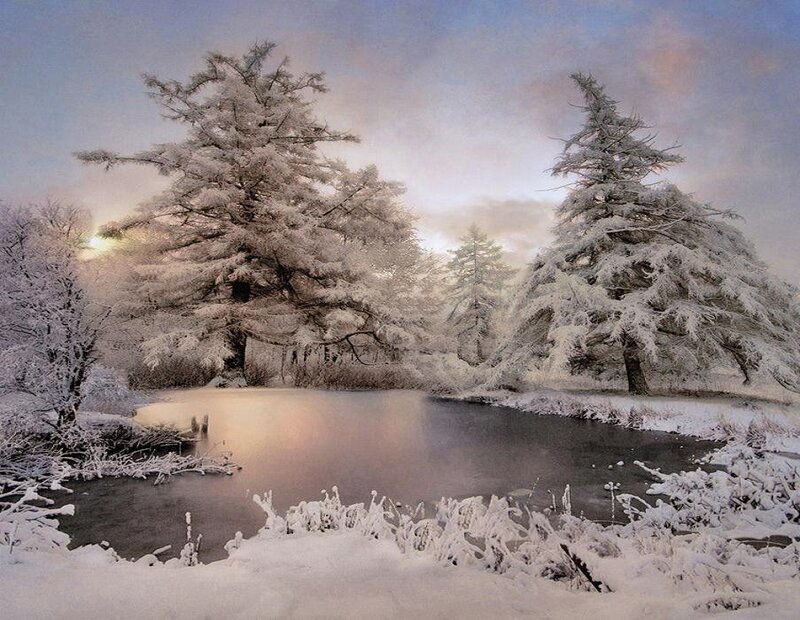 Snow-covered Trees by River — White, Serene, Winter