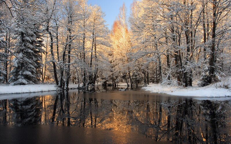 Snow-covered Trees by River — White