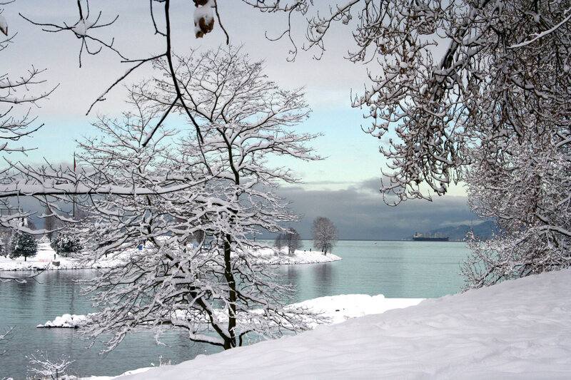 Snow-covered Trees by Water — White, Serene